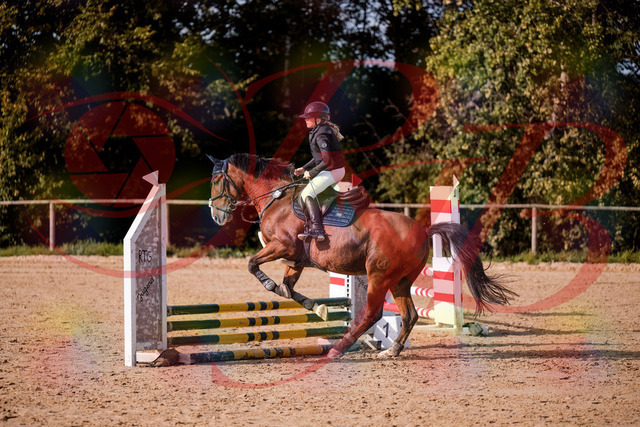 2026_10_03_Siefer-Hof_154625_Z81_64870553 | Professionelle Reitsport-, Turnier- und Eventfotografie von Robert Broda. Galerien mit ausgewählten und bearbeiteten Bildern direkt online ansehen und bestellen.