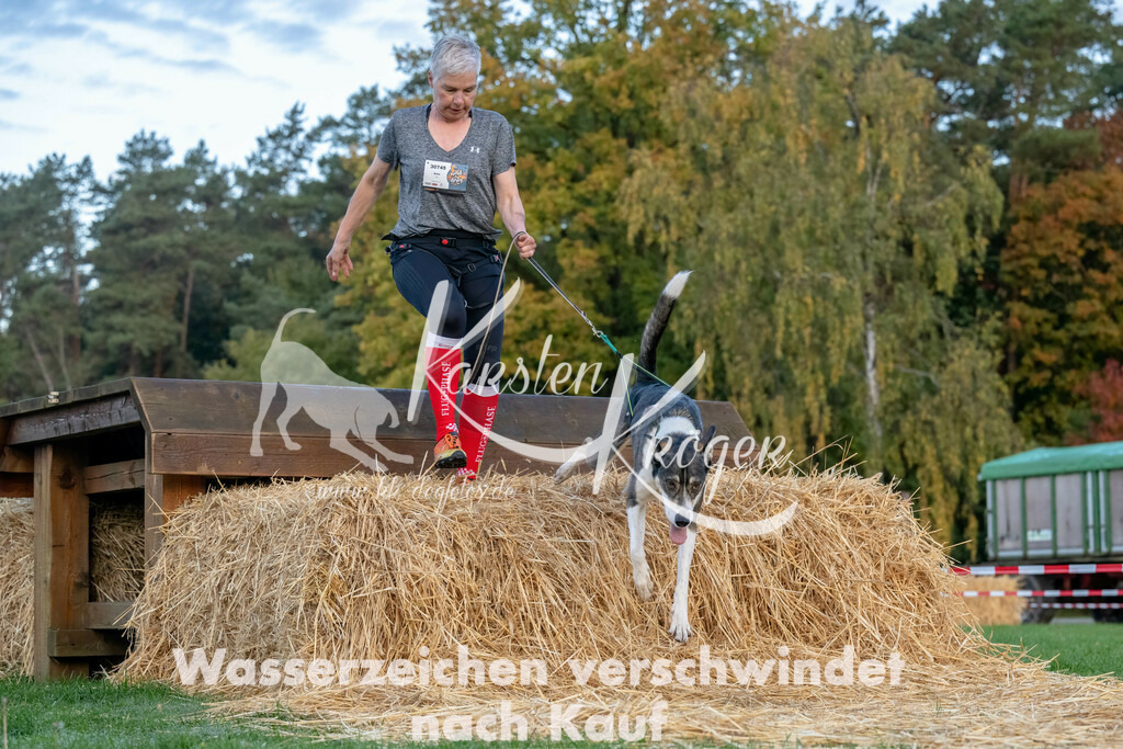 0811_ZZ94664-Bearbeitet | kk-dogfotos