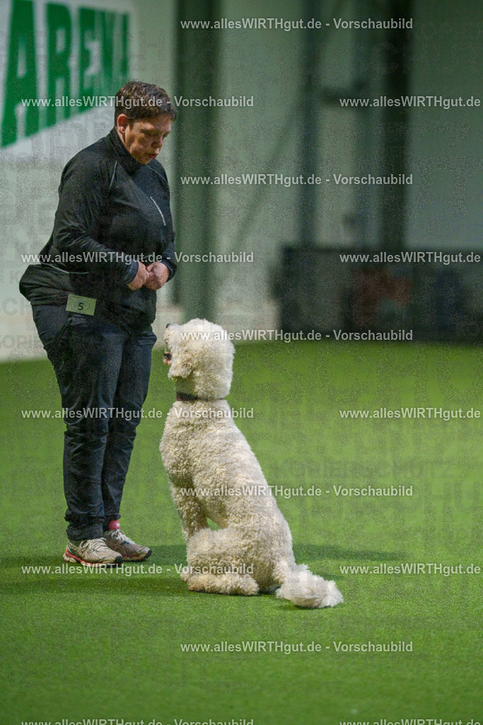 7R509930 | Professionelle Tierfotografie in Mönchengladbach von Daniel Wirth (allesWIRTHgut). Liebevolle & natürliche Bilder von Hunden & Katzen für unvergessliche Erinnerungen.