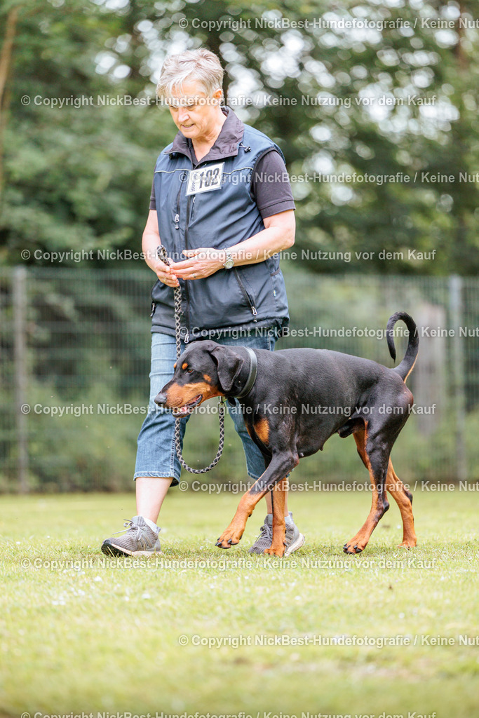 RO-Blumenthal-2026-Nickbest-Hundefotografie-5246 | Dein Hund! Dein Moment! Deine Erinnerungen! Hundefotografie in Bremen Blumenthal. Ich fange die besonderen Momente deines Vierbeiners ein – ob Indoor mit Blitzanlage oder in der freien Natur. Sicher dir dein Moment und dein Termin für eure Erinnerungen.