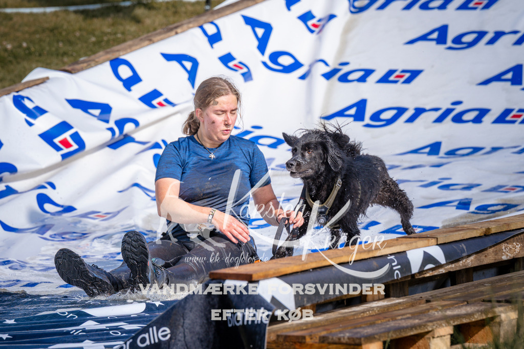 _ZZ981440754 | kk-dogfotos