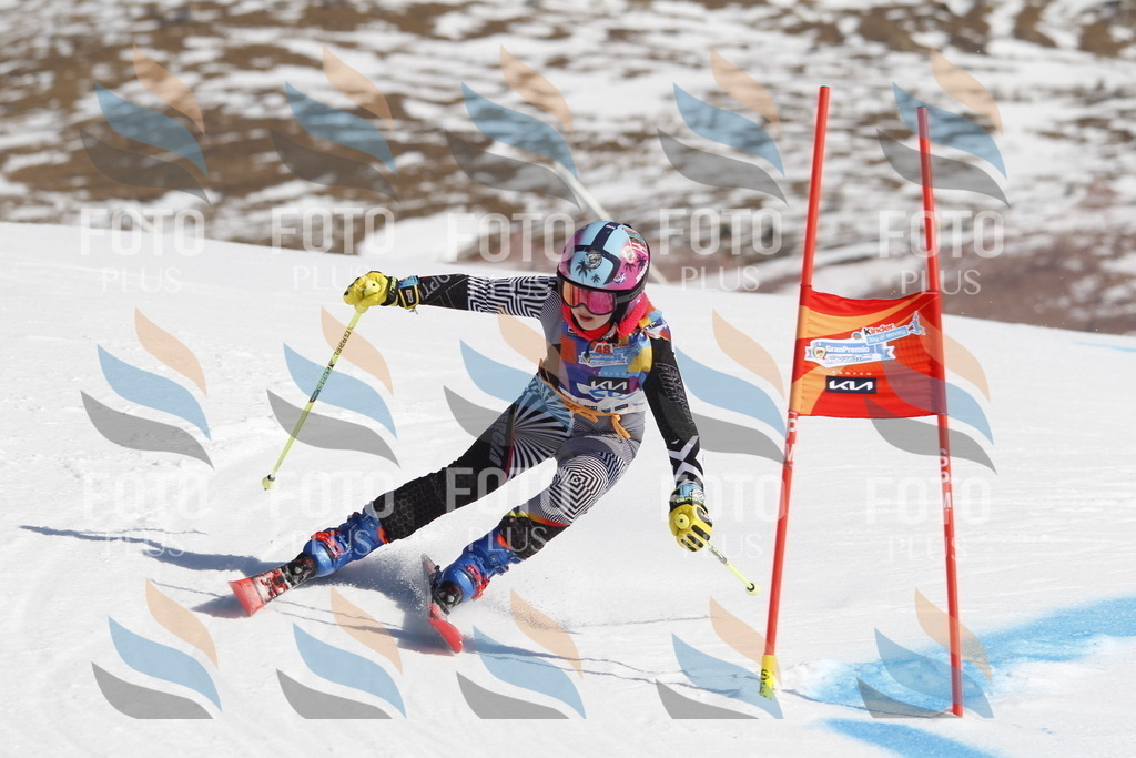 _U3G8967 | holidayphoto