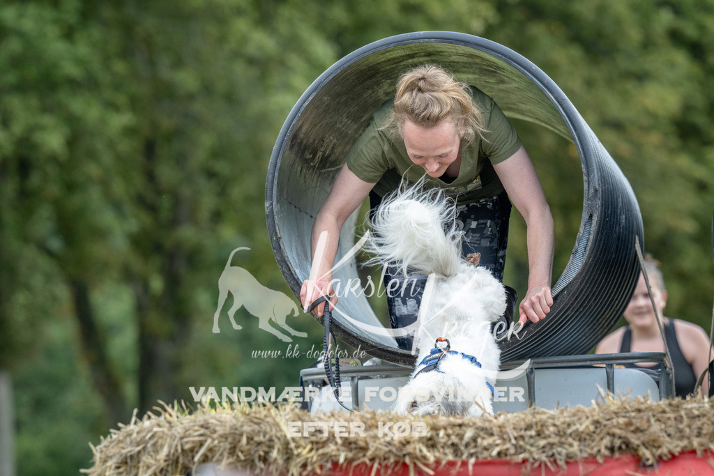 1029_ZZ92251 | kk-dogfotos