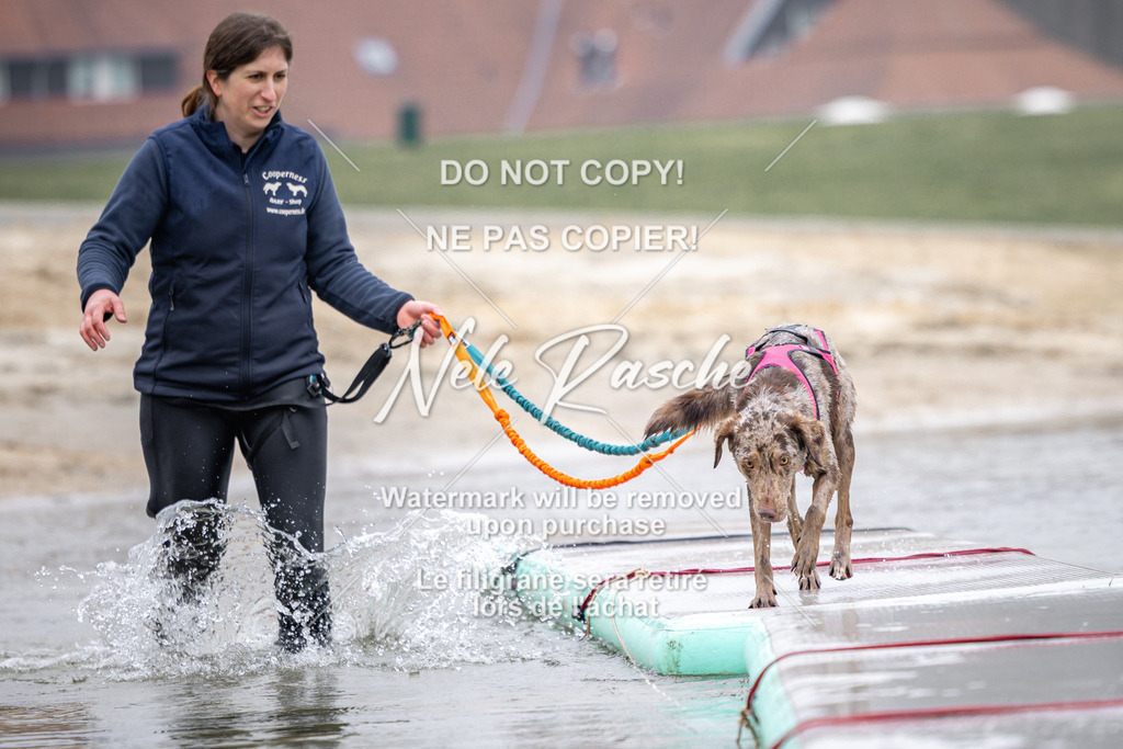 nelerasche_Hulsbeek_Sa1030-1100_51 | nelerasche