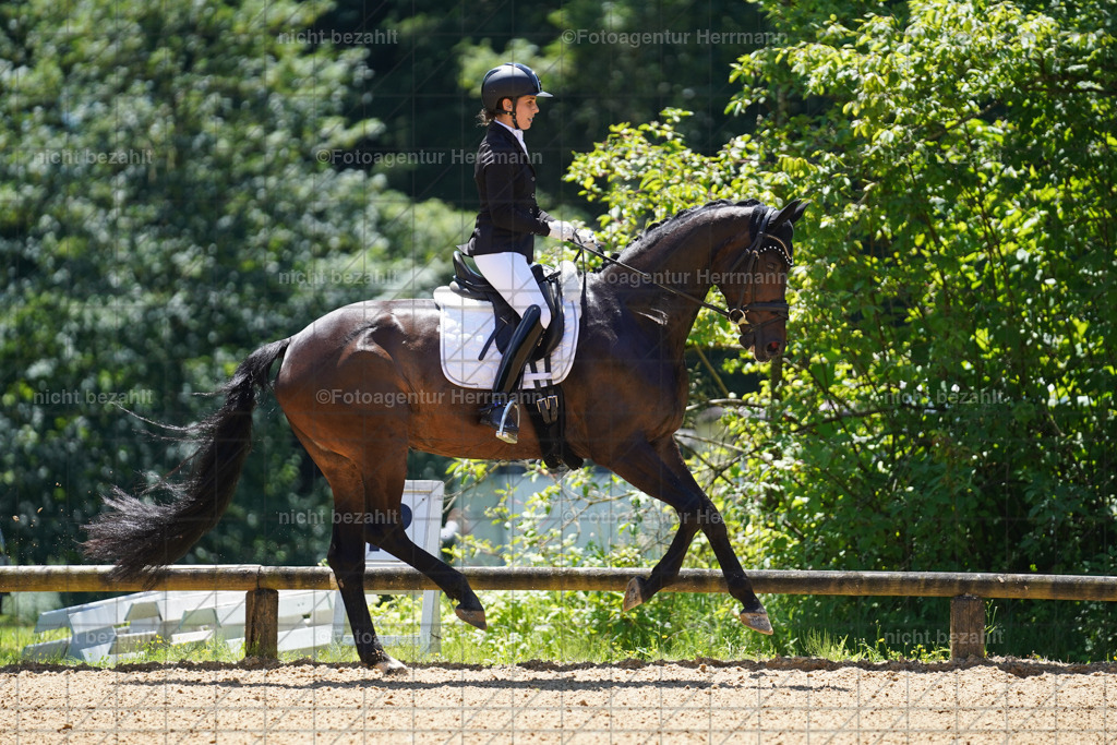 20240705-FAH03662 | Turnierbilder von Grafing, Reitsportbilder, Turnierfotos, Turnierfotografen Bayern, Pferdefotograf, Fotoagentur Herrmann