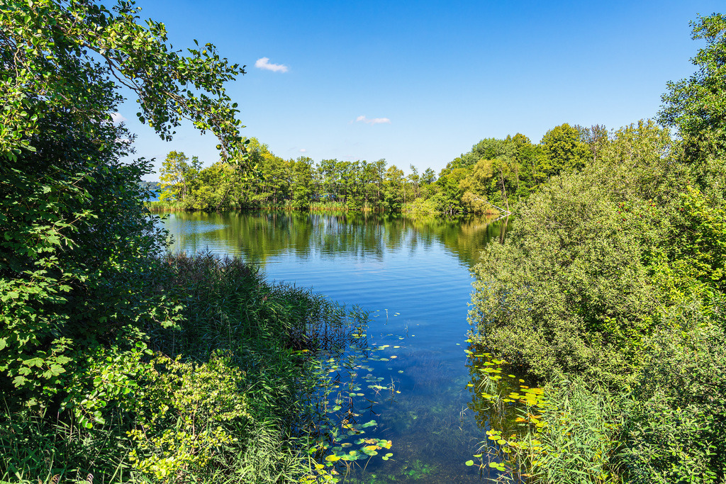 Ausblick mit See und Bäumen in Stintenburg am Schaalsee | Ausblick mit See und Bäumen in Stintenburg am Schaalsee.