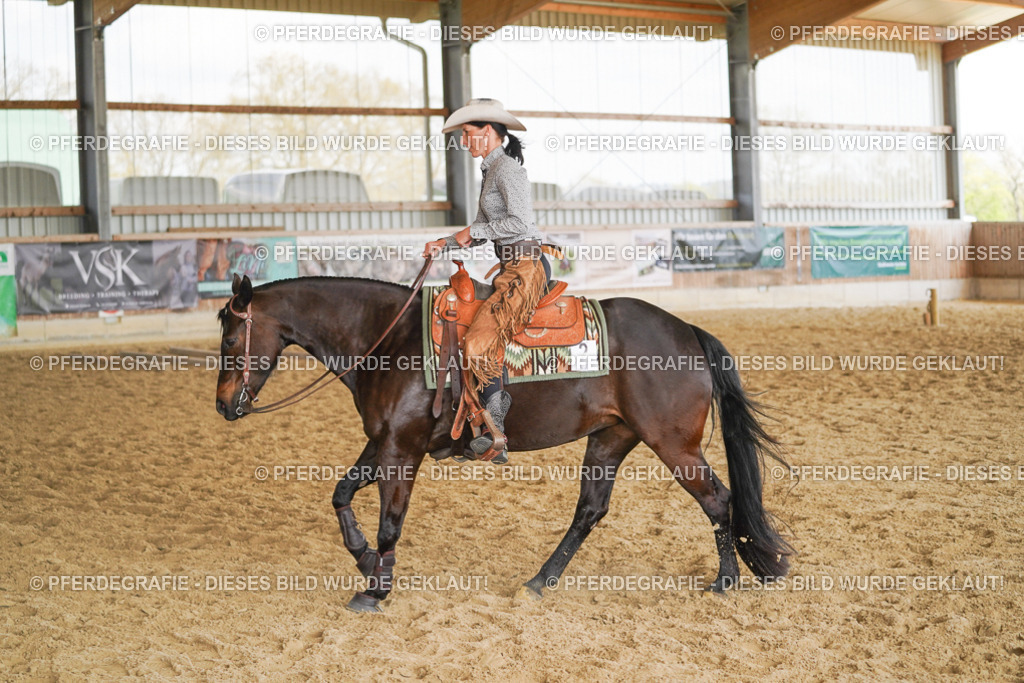 DSC02190 | Pferdegrafie