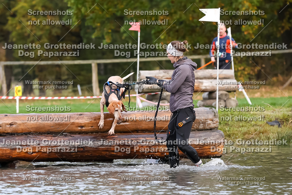 Dog Paparazzi - Strongdog 10-25-6781 | Dog Paparazzi Jeanette Grottendiek Fotografie & Videografie - Realisiert mit Pictrs.com