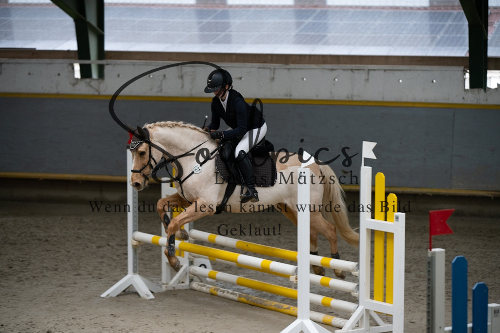 A7V00920 | Pferdefotograf