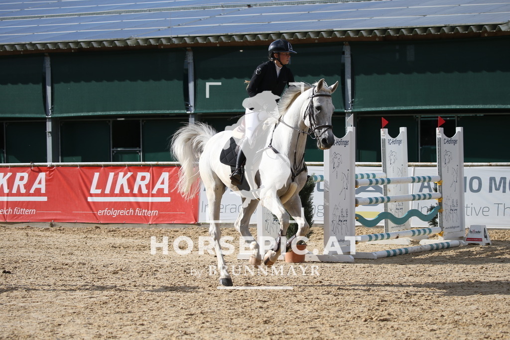 DL2Q3676 | Willkommen bei Brunnmayr - Design & Fotografie – Ihrem Spezialisten für Reitturniere und Pferdeveranstaltungen in Oberösterreich, Salzburg und Bayern! Seit über 17 Jahren sind wir leidenschaftlich dabei.