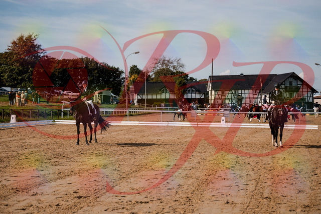 2026_10_03_Siefer-Hof_121822_Z63_42076463 | Professionelle Reitsport-, Turnier- und Eventfotografie von Robert Broda. Galerien mit ausgewählten und bearbeiteten Bildern direkt online ansehen und bestellen.