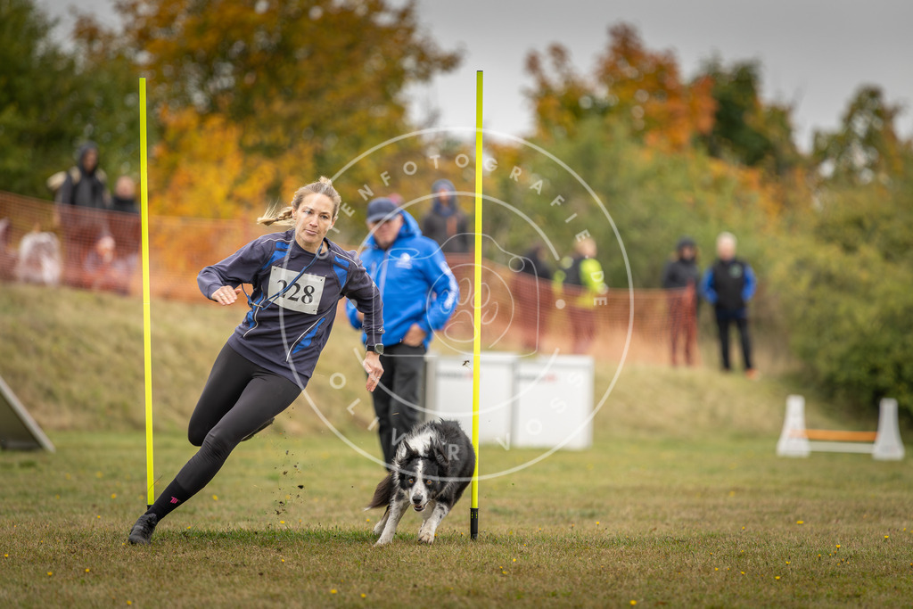 Pfotenfotografie_DV3A4068 | Hundefotografie, Tierfotograf, Pfotenfotografie, Fotoshooting Hund, Hunde Portrait, Hundesport, Hundeportraits, Heideshooting, Hunde, Sportfotograf, Hundefotograf, Turnierhundsport, THS,  - Realisiert mit Pictrs.com