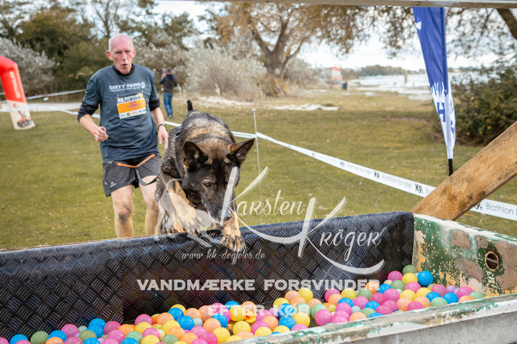 1517_ZZ96322 | kk-dogfotos