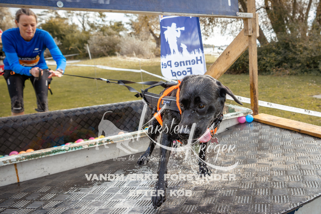 1358_ZZ93024-2 | kk-dogfotos