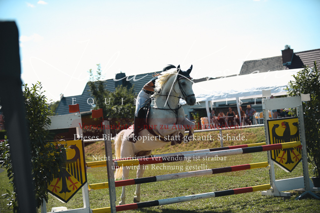 DSC_7272 | Pferde- und Turnierfotografie in Westsachsen. Pferdeportraits, Auftragszeichnungen und intuitive Kunst.