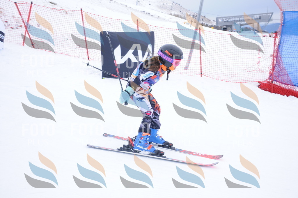 DSC_8087 | holidayphoto