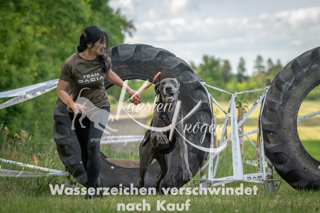 _ZZ907301817 | kk-dogfotos