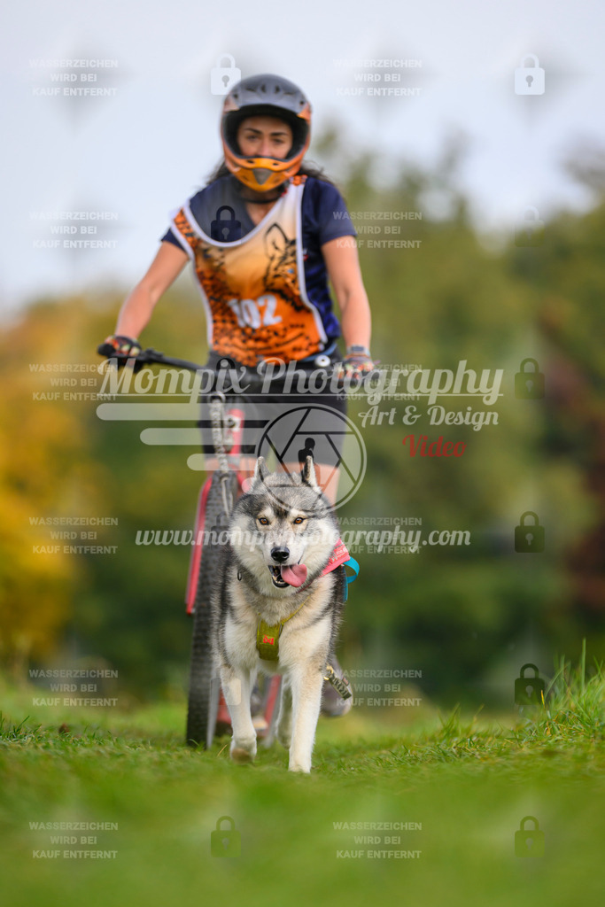 MompixPhotography_CDLBDB2025_DI_DS-102 | PayLife