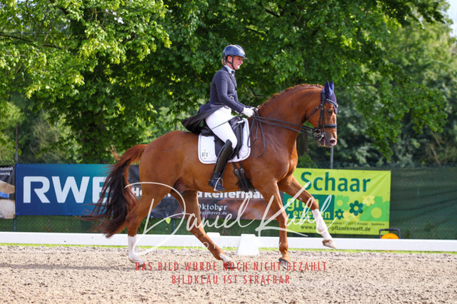 DKP41552 | Deine Turnierfotos vom Reitturnier online kaufen: Dressur, Springen & Siegerehrung. Professionelle Pferdefotografie aus dem Rheinland – als Download & Print.Alternative: Turnierfotograf für den Pferdesport: Finde deine Fotos von Dressur- und Springturnier