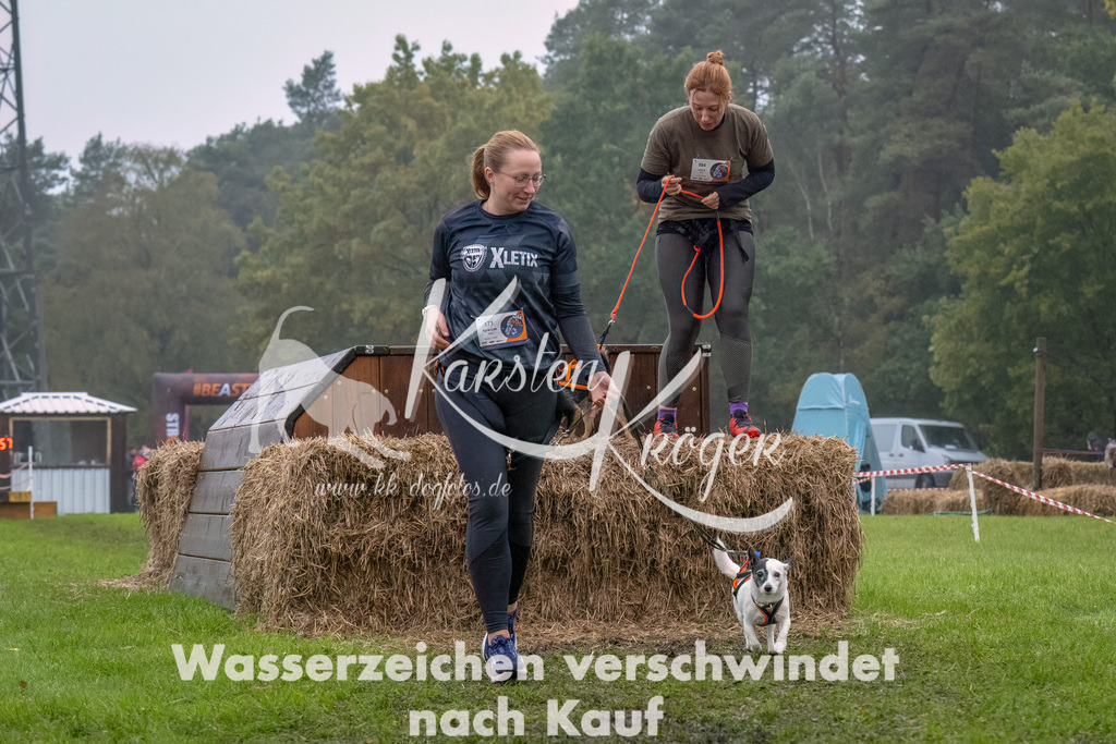 1251--6 | kk-dogfotos
