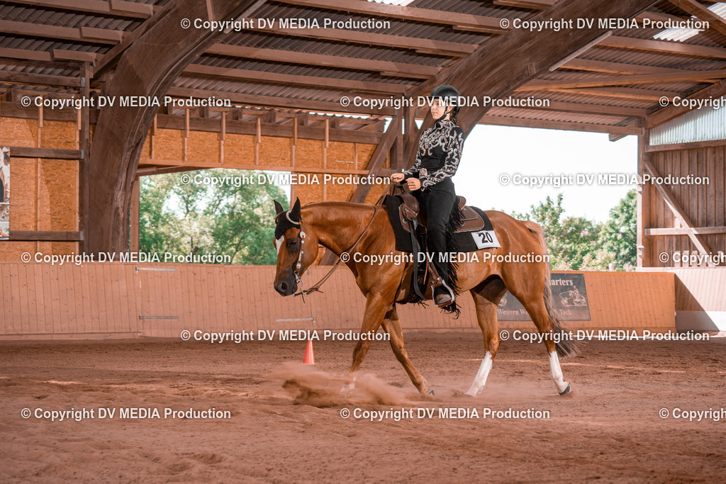 NE100266 | dv-media-shop - Realisiert mit Pictrs.com