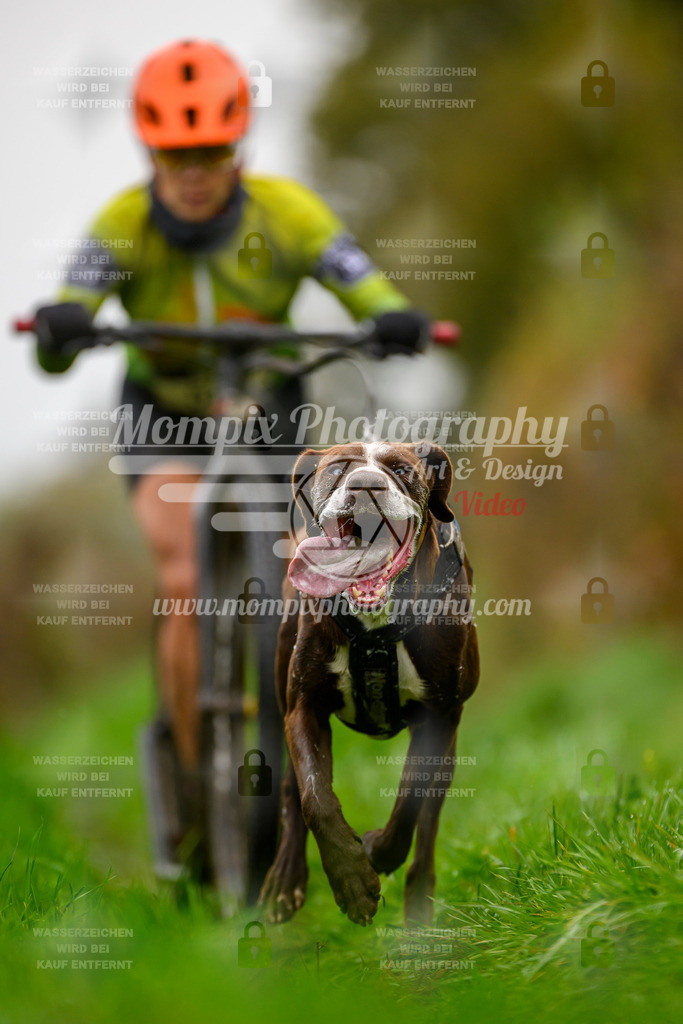 MompixPhotography_20TSB_E8_DS1-45 | PayLife