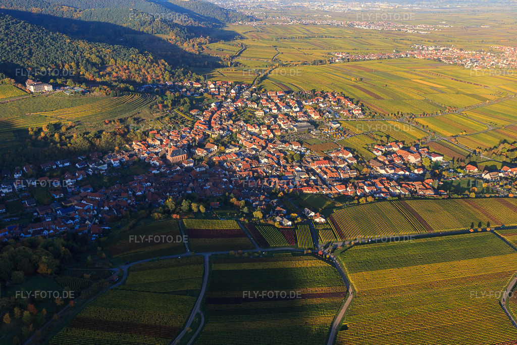 Luftbild: Winzerdorf am Haardtrand in Herbstfarben aus Süden im Ortsteil SaintMartin in Sankt Martin im Bundesland Rheinland-Pfalz in Deutschland. Foto: IMG_095647.jpg vom 30.10.2016 durch Werner Riehm/FLY-FOTO.de