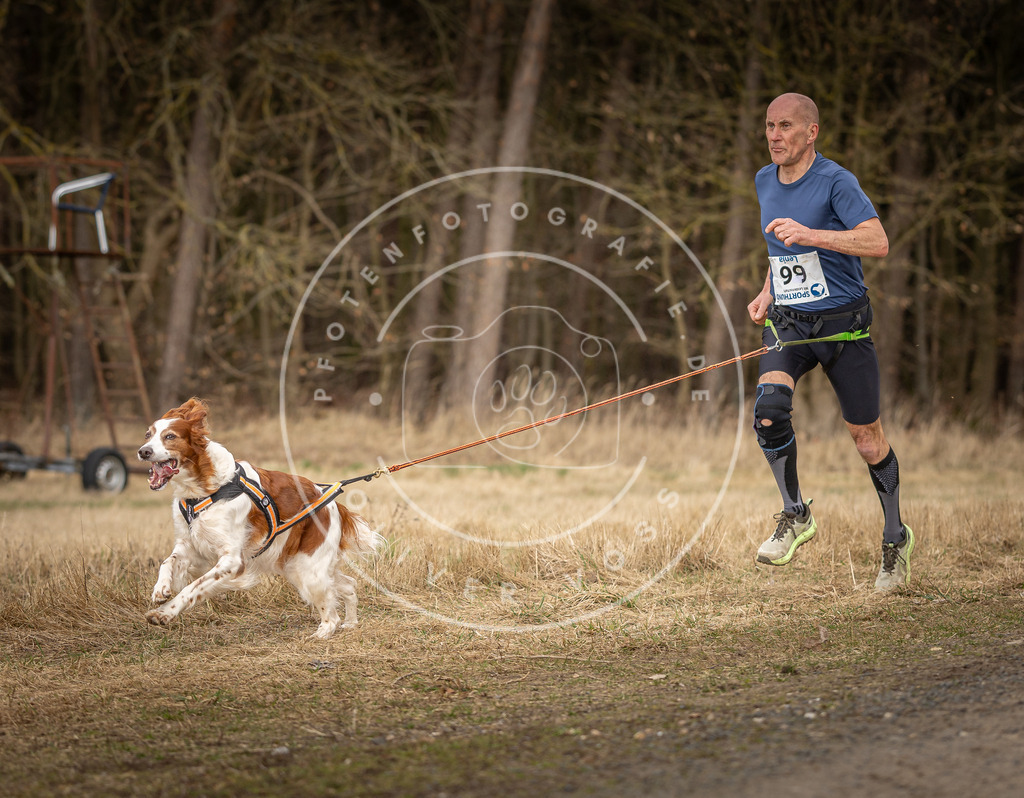 DV3A5296 | Hundefotografie, Tierfotograf, Pfotenfotografie, Fotoshooting Hund, Hunde Portrait, Hundesport, Hundeportraits, Heideshooting, Hunde, Sportfotograf, Hundefotograf, Turnierhundsport, THS,  - Realisiert mit Pictrs.com