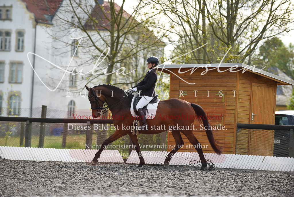 20230513_JK-Röhrsdorf-17-354 | Pferde- und Turnierfotografie in Westsachsen. Pferdeportraits, Auftragszeichnungen und intuitive Kunst.