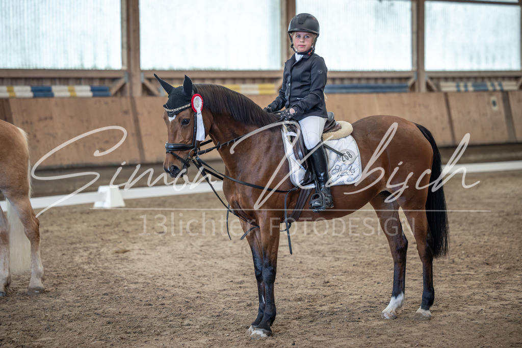 20251011-_3LI8506 | Tierfotografie Pferde, Hunde, Katzen, Haustiere.
Turnierfotografie Reitturniere, Reiten, Springreiten, Dressur in Hanau, dem Main-Kinzig-Kreis und dem Rhein-Main- Gebiet um Frankfurt