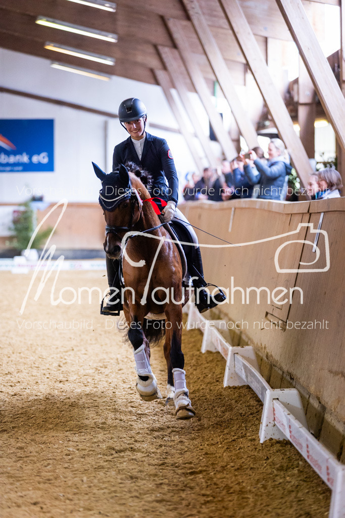 Sth-A-Dre-2St-245 | MomenTaufnahmen Pferdesportfotos