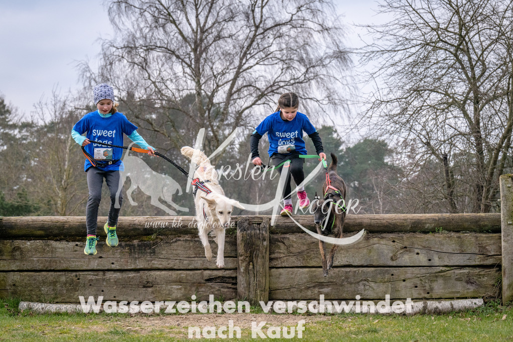 _ZZ91684 | kk-dogfotos