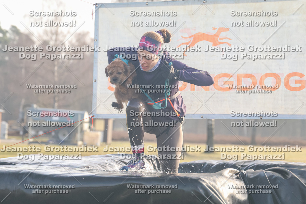 Dog Paparazzi - SD North Sa 830-900-175 | Dog Paparazzi Jeanette Grottendiek Fotografie & Videografie - Realisiert mit Pictrs.com