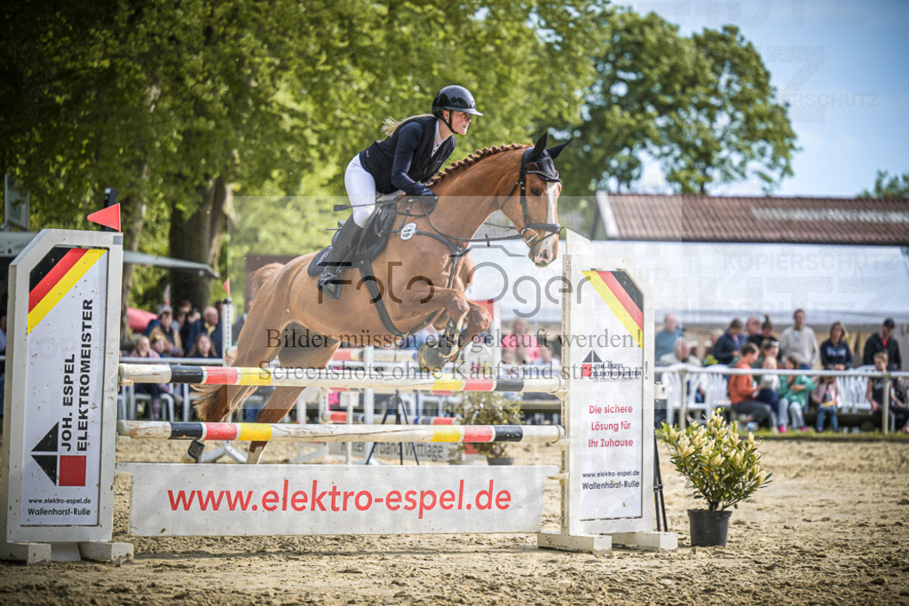 DOS_2723 | Entdecke hochwertige Reitturnierfotos von Foto Oger. Professionell, emotional und authentisch – jetzt Lieblingsmomente im Shop bestellen.Deutschlandweite Turnierfotografie. - Realisiert mit Pictrs.com