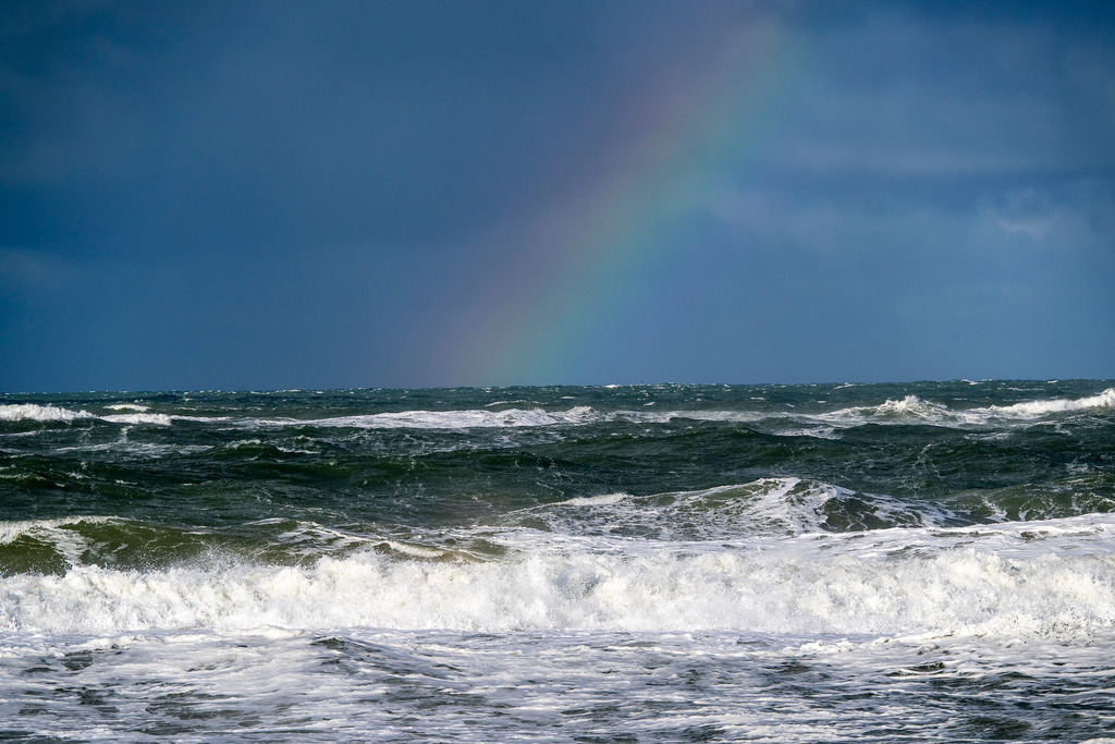 251027_Texel_3208_mr | Entdecke exklusive Fotografie im muebri Shop: Stimmungsvolle Motive  Naturaufnahmen und mehr. Jetzt hochwertige Wandbilder und Fotoabzüge online kaufen! - Realisiert mit Pictrs.com