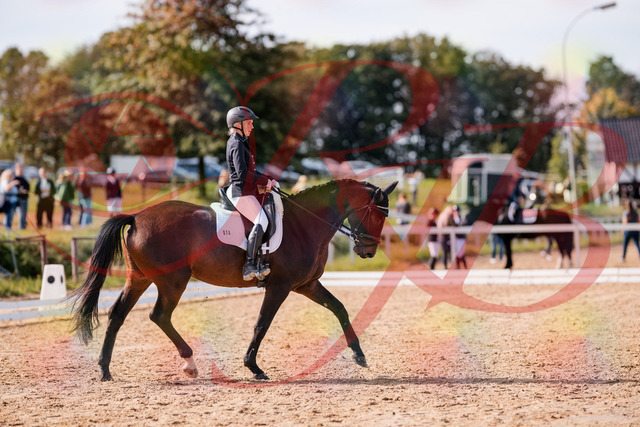 2026_10_03_Siefer-Hof_133825_Z81_96141755 | Professionelle Reitsport-, Turnier- und Eventfotografie von Robert Broda. Galerien mit ausgewählten und bearbeiteten Bildern direkt online ansehen und bestellen.