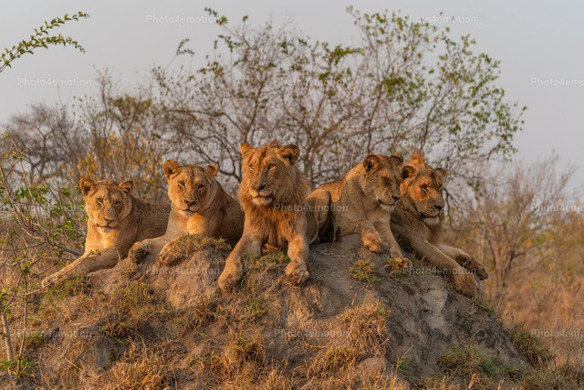 DSC00196-arw_DxO_DeepPRIMEXD | Willkommen bei Photo4emotion  -  Bei uns finden Sie Fotos, die für sich selbst sprechen...
Leben, Bewegung und Emotion ist unser Motto, welches wir mit Leidenschaft in unserer Fotographie verfolgen.

 - Realisiert mit Pictrs.com