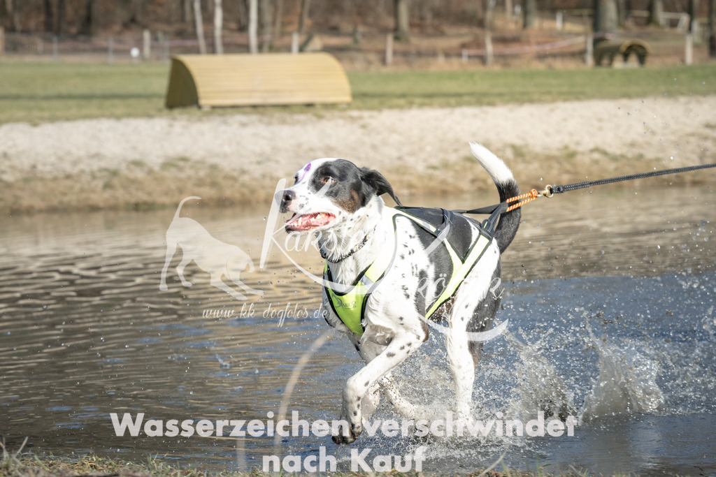 1423_ZZ90377 | kk-dogfotos