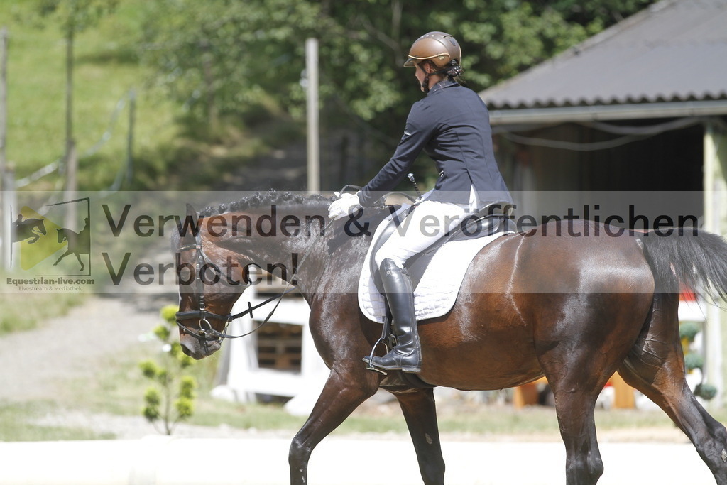 _MG_0831 | equestrian-live-com