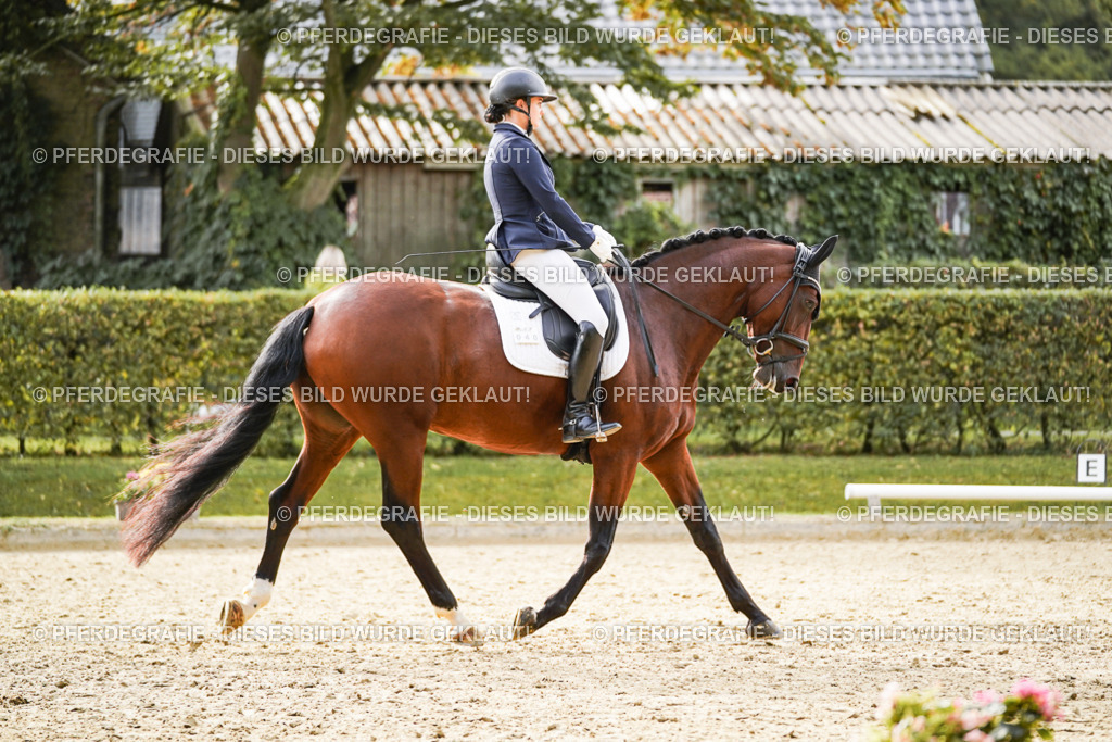 DSC09367 | Pferdegrafie