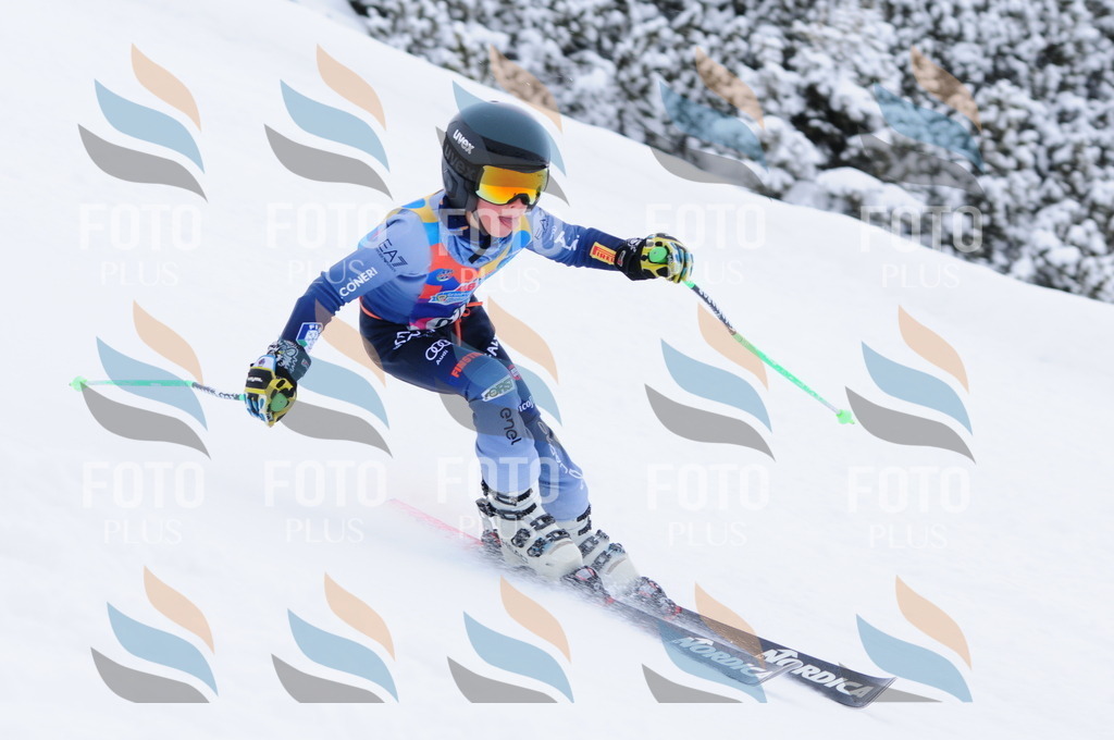 C2897 | holidayphoto