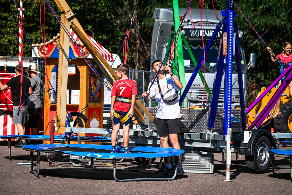 DSC_1260 | Pferde- und Turnierfotografie in Westsachsen. Pferdeportraits, Auftragszeichnungen und intuitive Kunst.