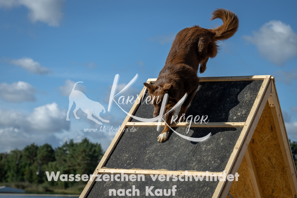 1229_ZZ93224-2 | kk-dogfotos