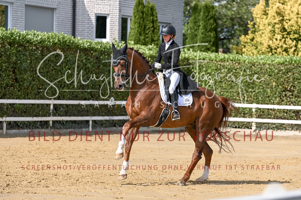Schugtsche-Aluta25-58. Dressurprf.S1Kand.St.GeorgSpecial-389 | Schugtsche Fotografie - Realisiert mit Pictrs.com