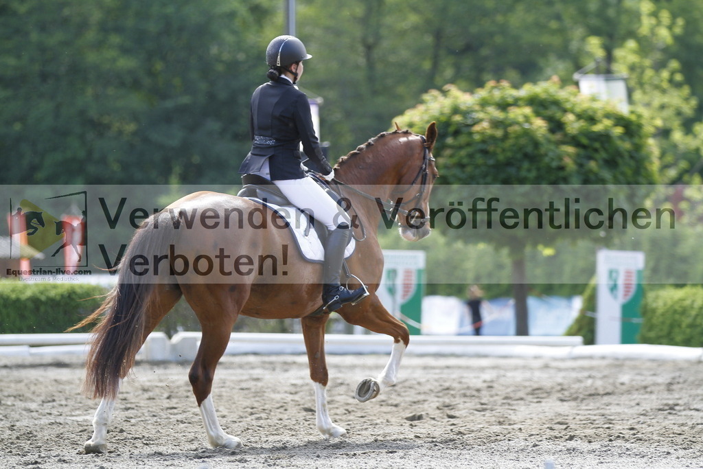 _MG_0593 | equestrian-live-com
