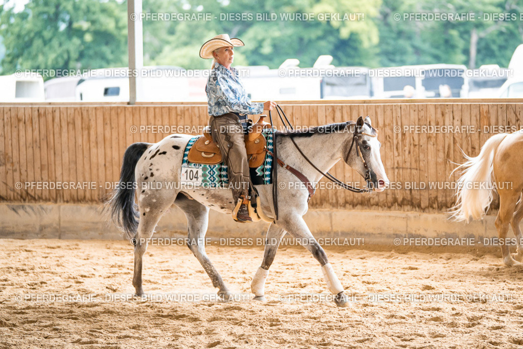 DSC00704 | Pferdegrafie