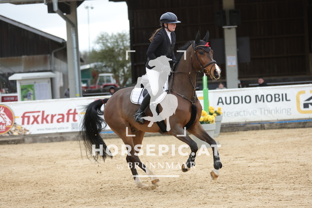 0P6A4360 | Willkommen bei Brunnmayr - Design & Fotografie – Ihrem Spezialisten für Reitturniere und Pferdeveranstaltungen in Oberösterreich, Salzburg und Bayern! Seit über 17 Jahren sind wir leidenschaftlich dabei.