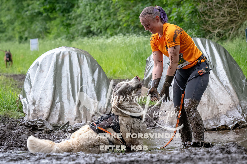 1641_ZZ94840-Bearbeitet | kk-dogfotos