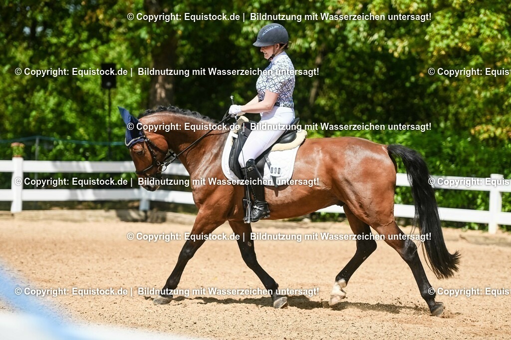 20230715_02_Dressurreiterprüfung Kl.L_0141 | equistock