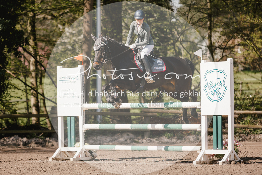 3I6A4031 | Stimmungsvolle Portraits und Reitsportfotografie im Ruhrgebiet und im Münsterland.

Pferdefotografie, Hundefotografie, Tierfotografie, Reportagen, Portraits von Tier und Mensch, Turnierfotografie in Bochum, Recklinghausen, Marl, Haltern am See, Dülmen.. - Realisiert mit Pictrs.com
